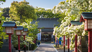 岡湊神社（遠賀郡芦屋町）
