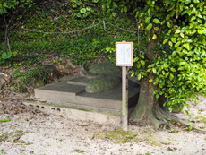 恵比須神社：海亀石