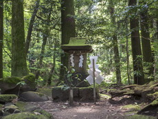 旧参道の山神社