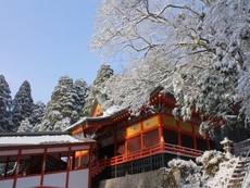 冬の霧島神宮・社殿