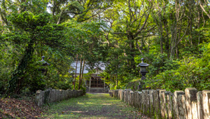 志々伎神社［中宮］（平戸市）