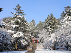 冬の霧島神宮